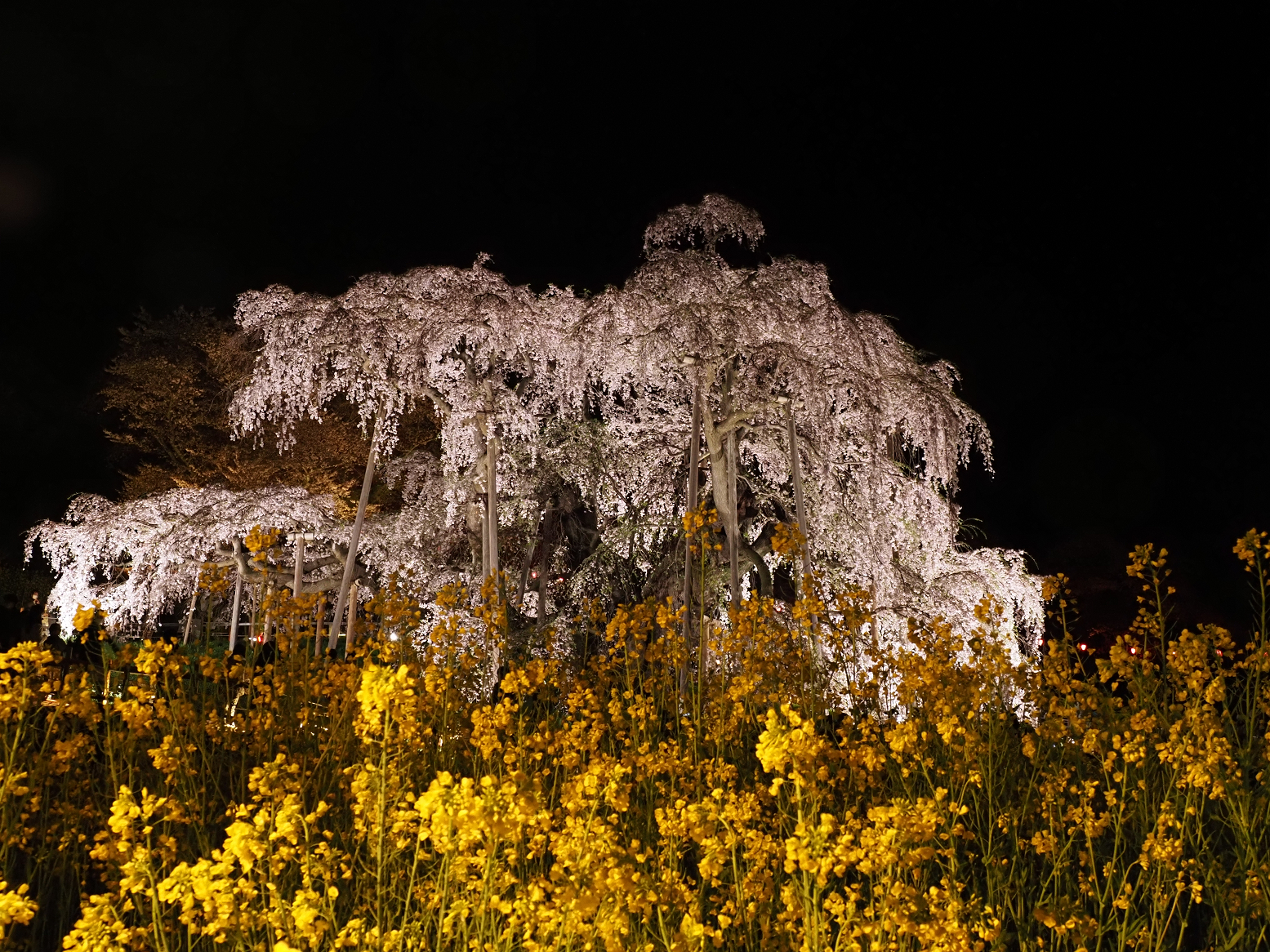 P4160436.jpg