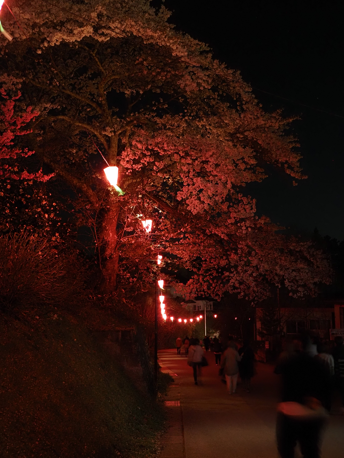 P4160441.jpg