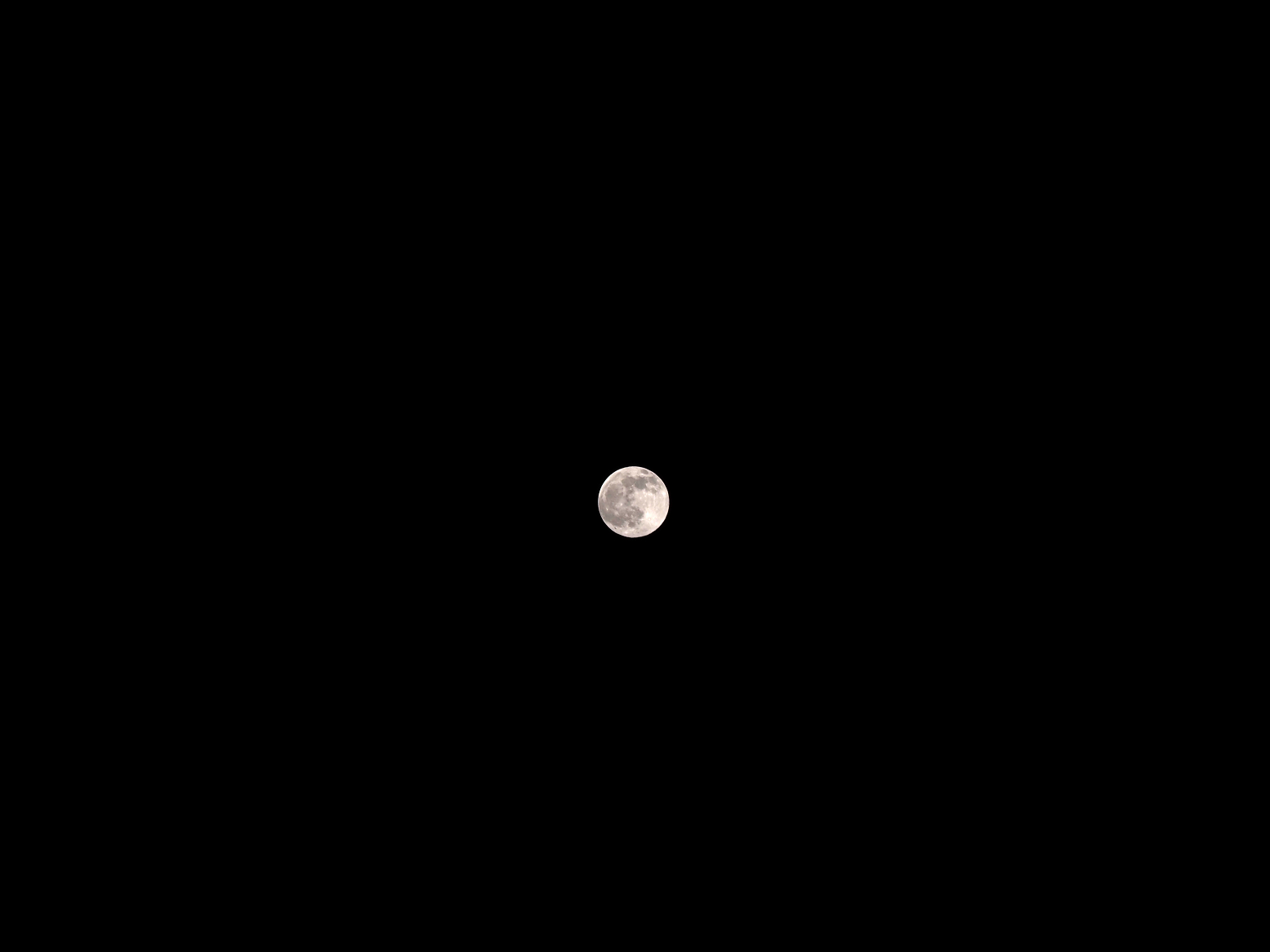 P4160451.jpg