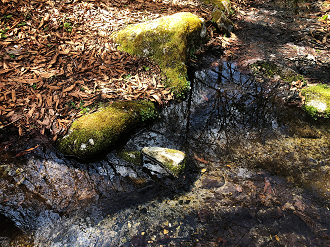 P4230043-03_thumb.png