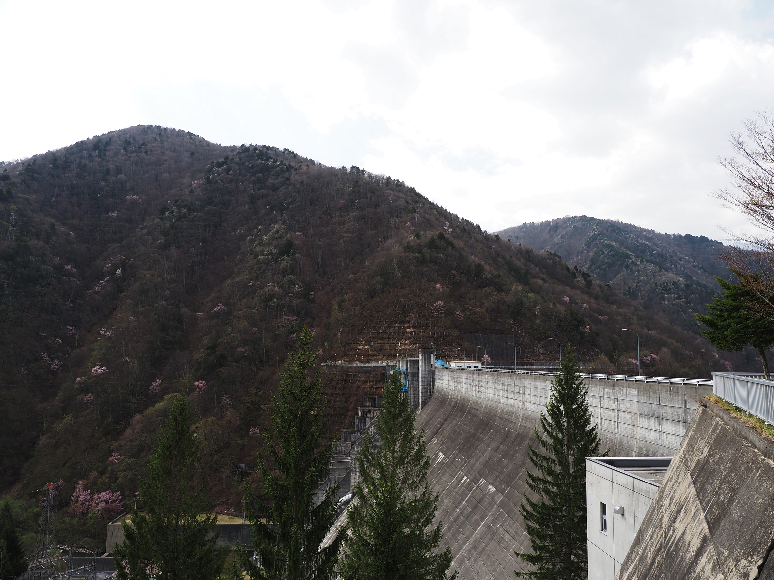 P4230044.jpg