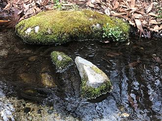 P4230050-02_thumb.png