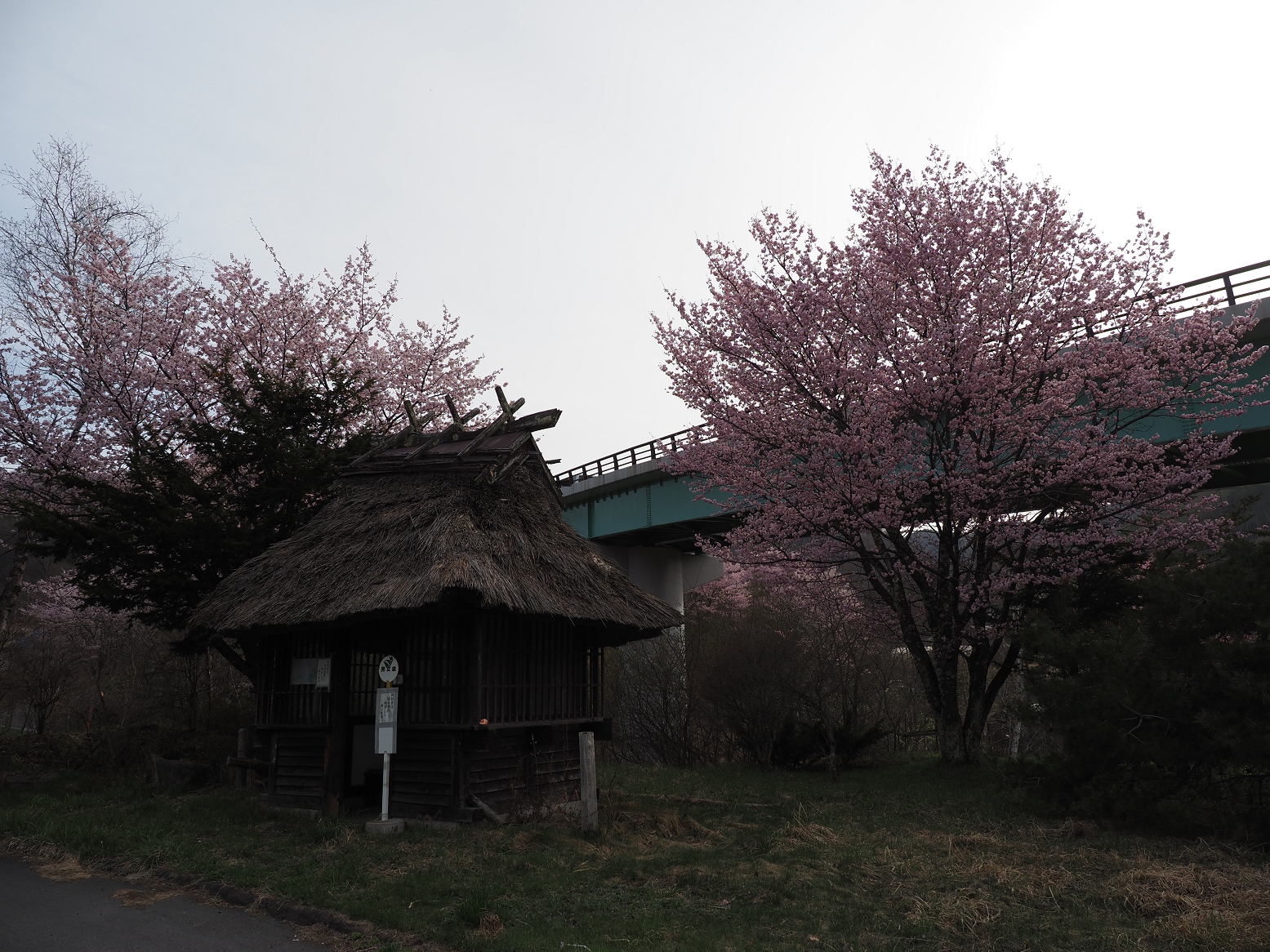 P4230058.jpg