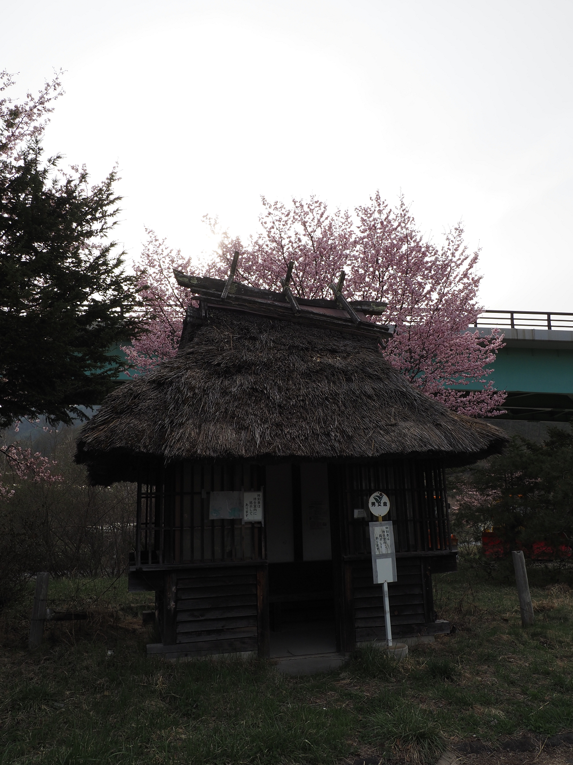 P4230065.jpg