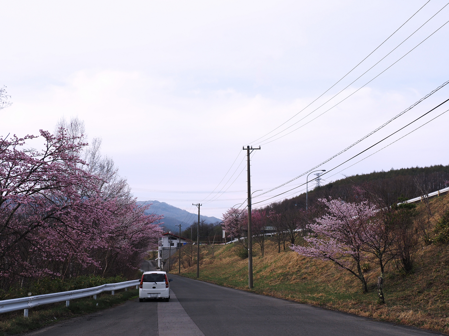 P4230070.jpg
