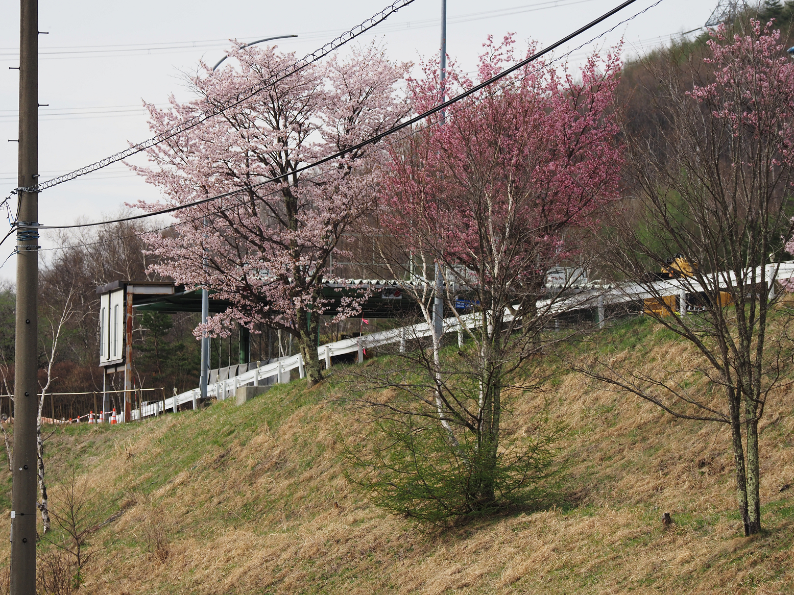 P4230081.jpg