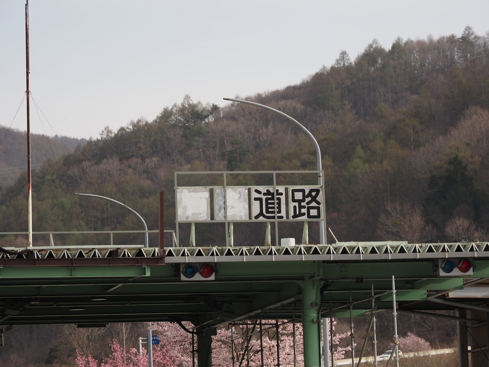 P4230094.jpg