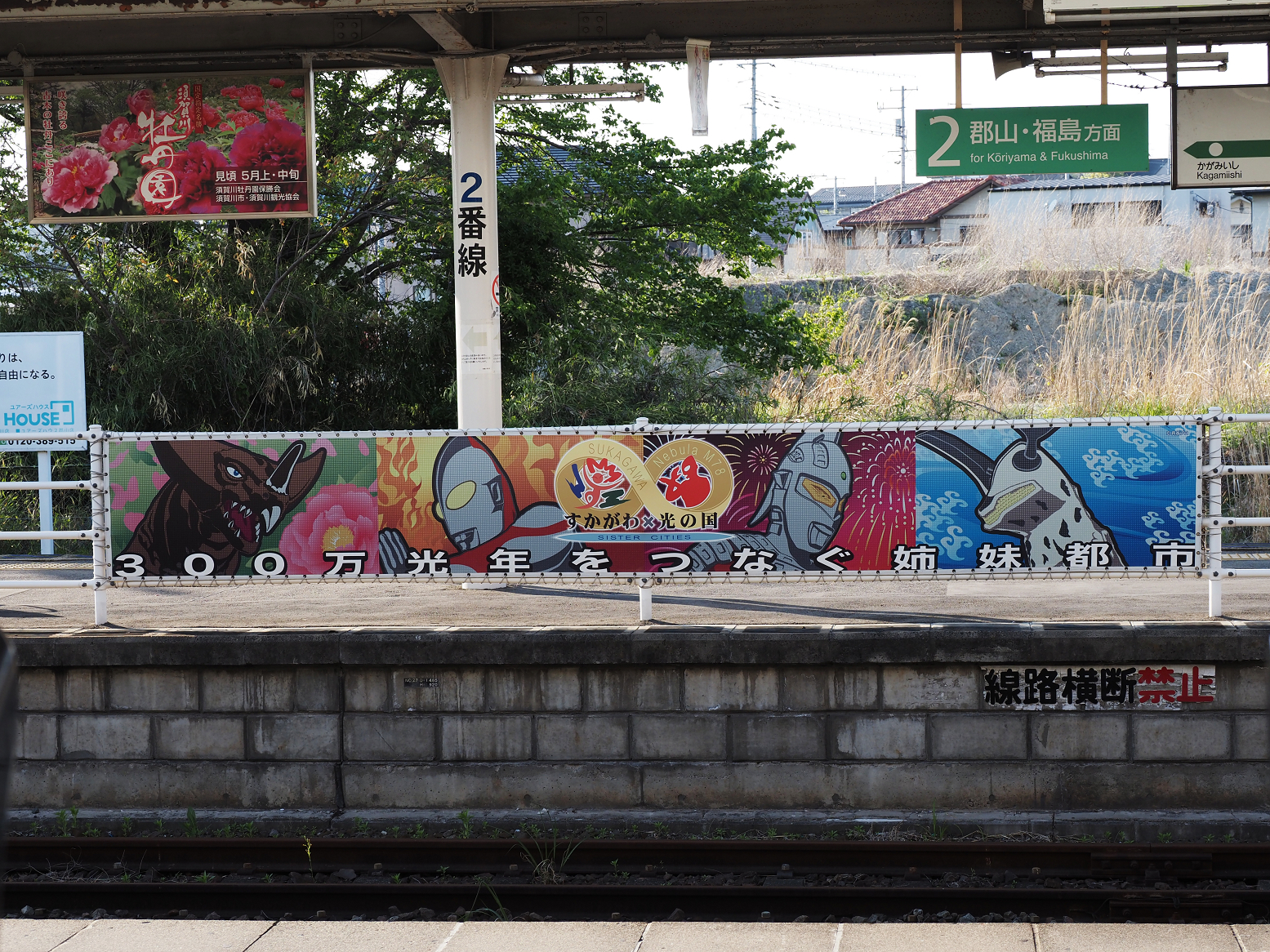 P5040247.jpg