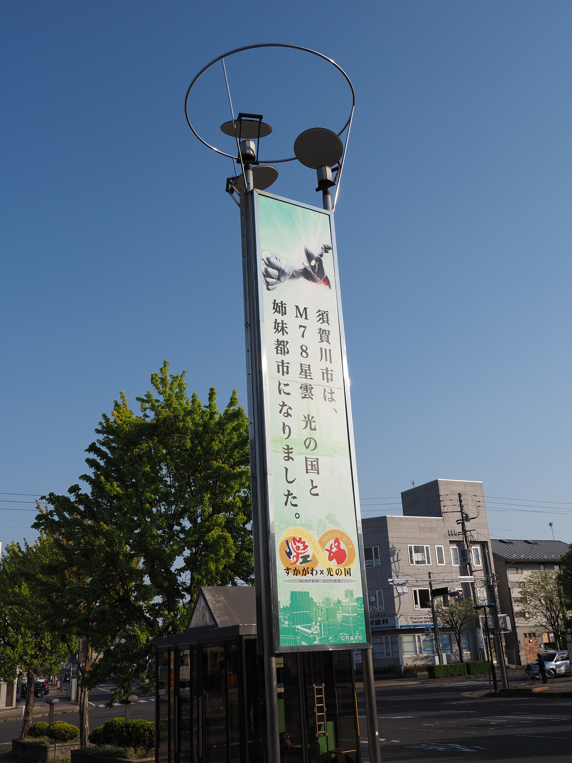 P5040249.jpg