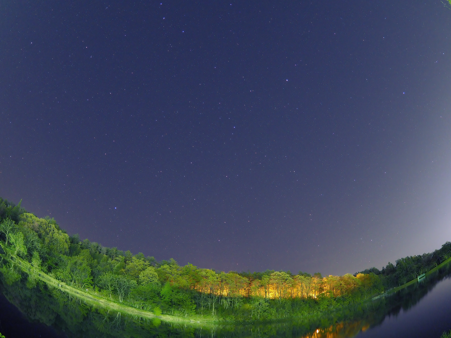 P5040275-.jpg