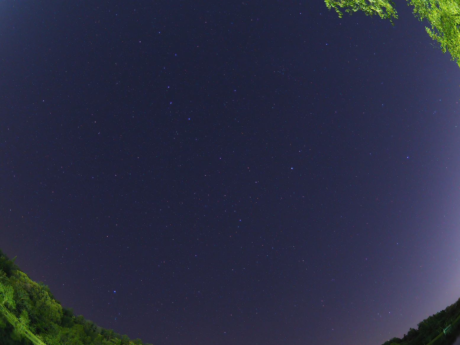 P5040276-.jpg