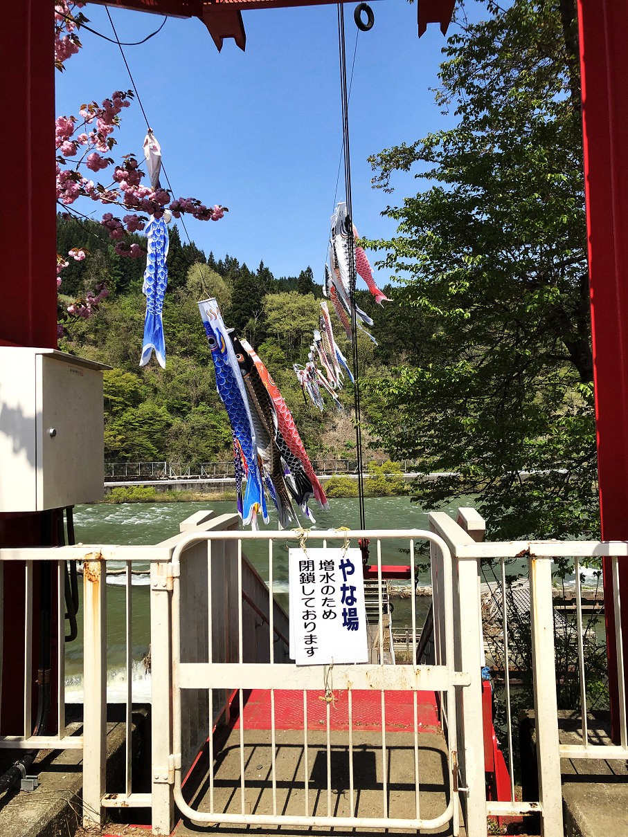 P5040278-29.jpg