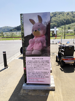 P5040278-42-2_thumb.png