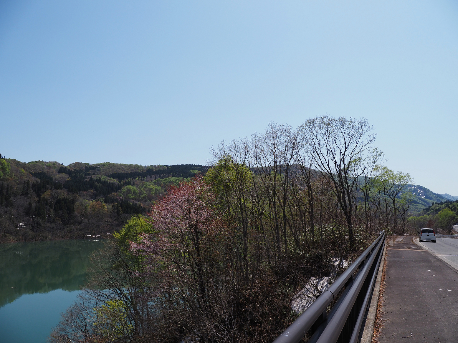 P5050300.jpg