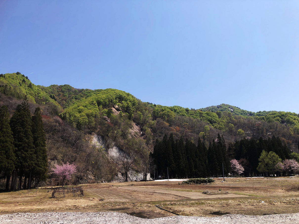 P5050330-02.jpg