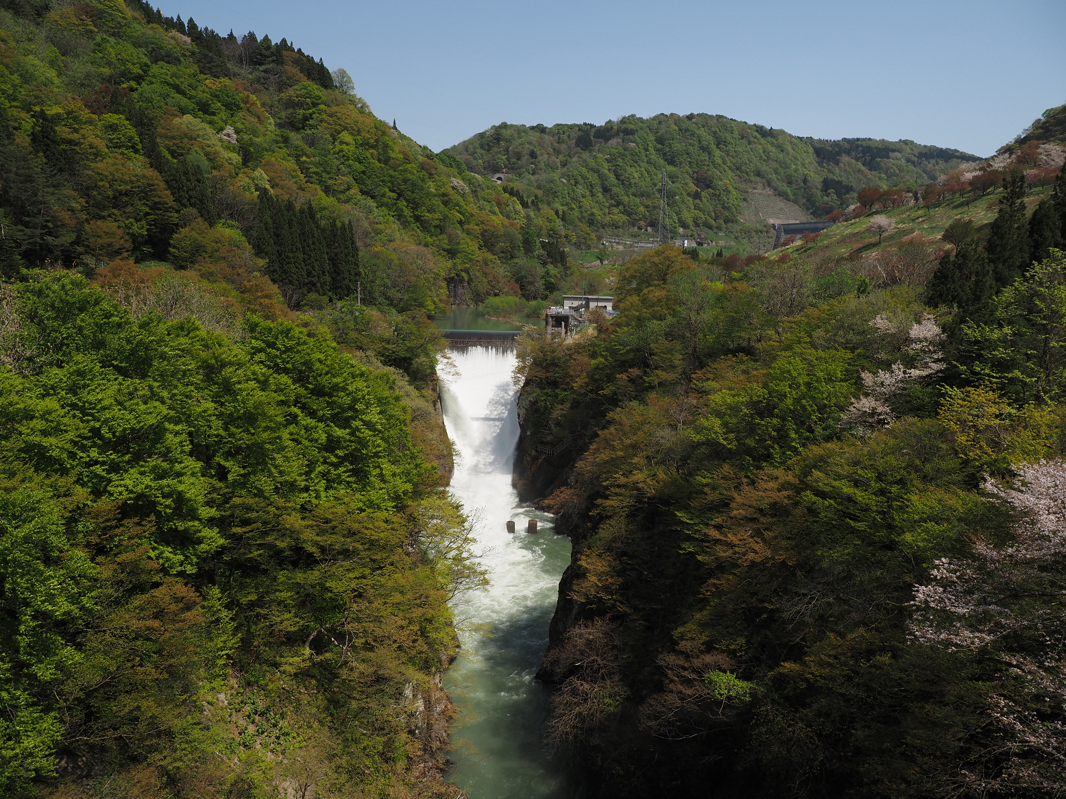 P5050354.jpg