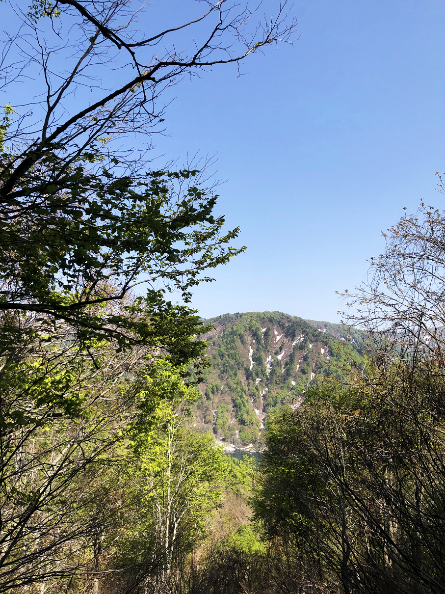 P5050361-04.jpg