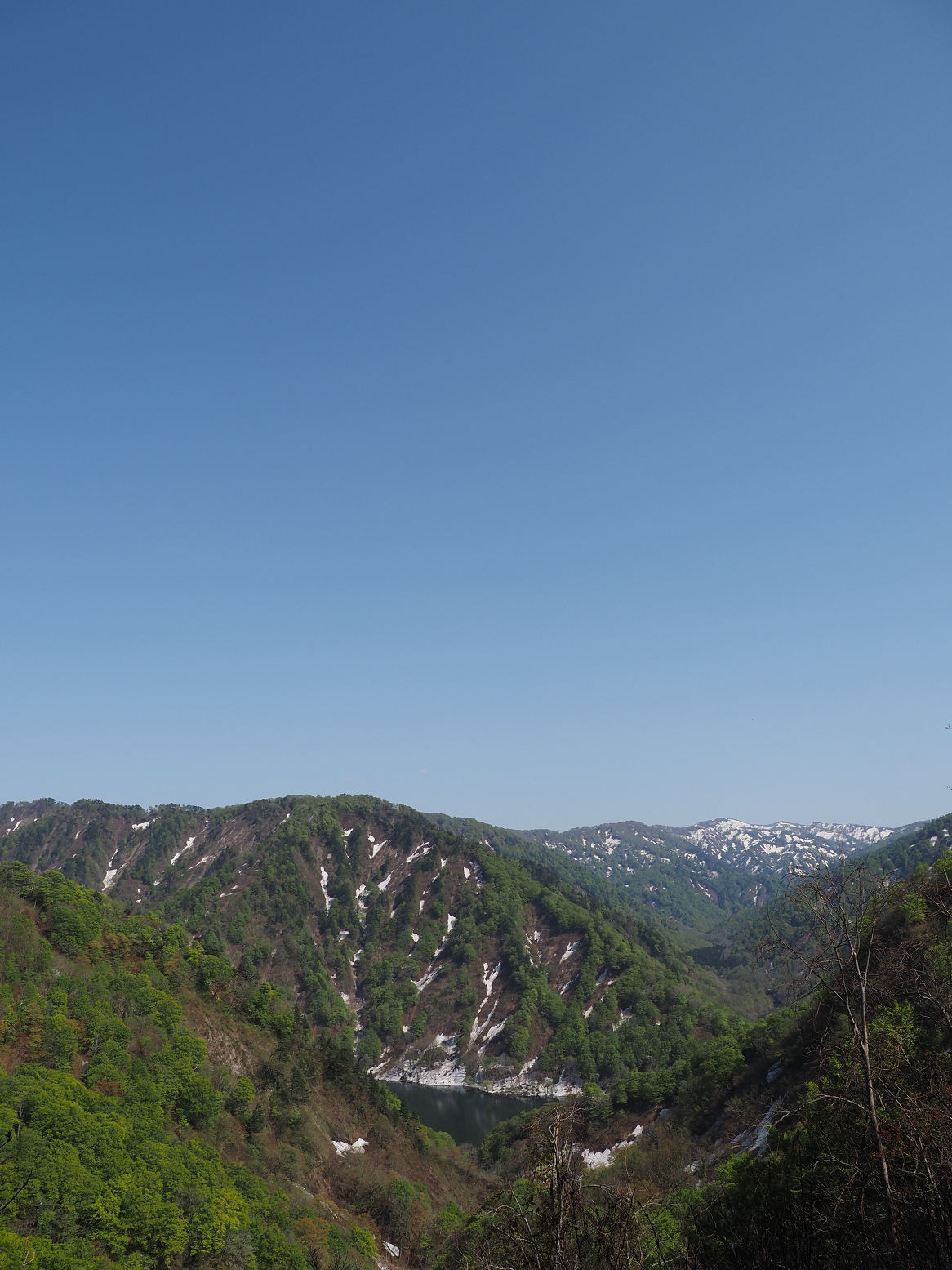 P5050369.jpg