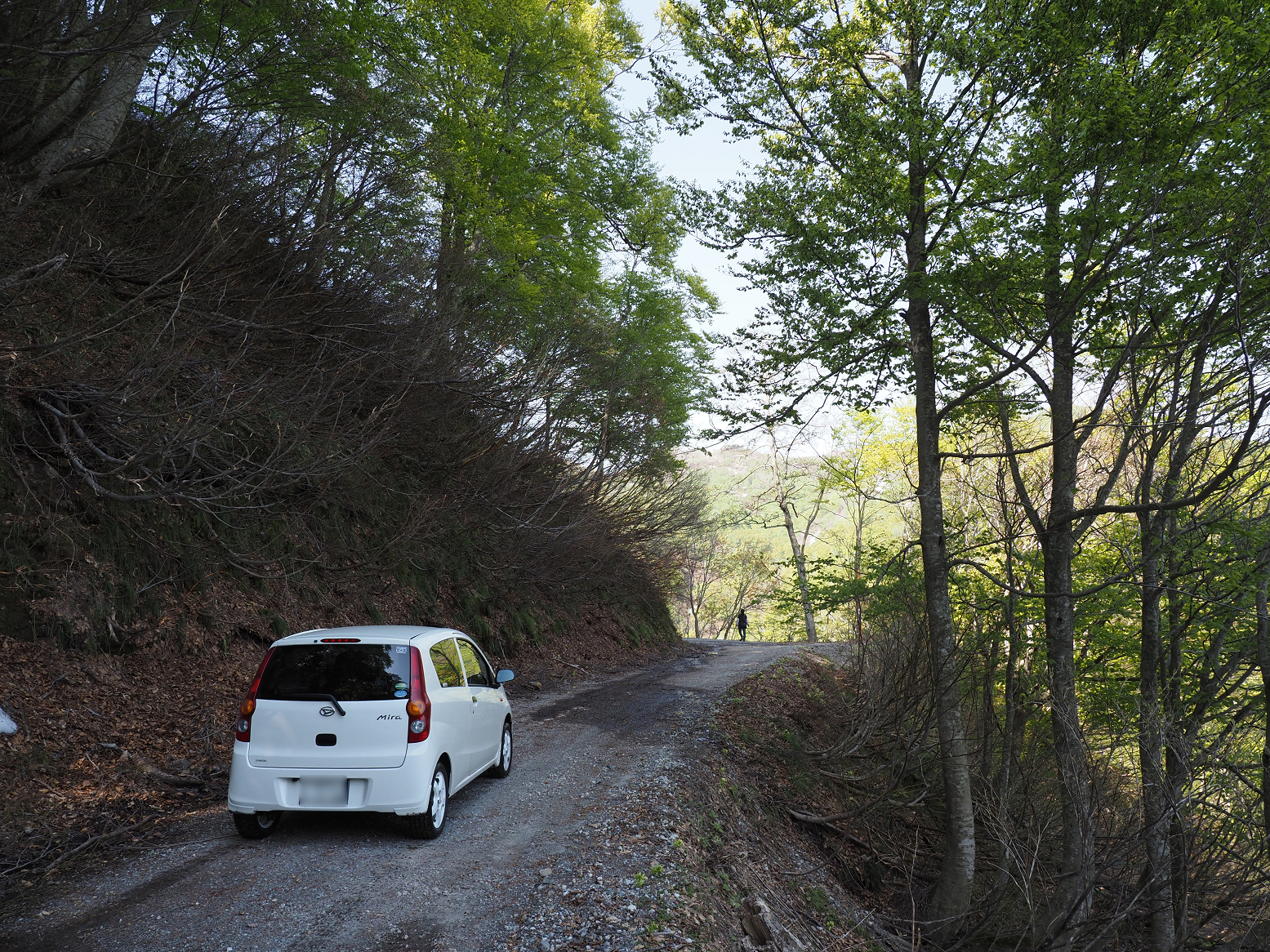 P5050370.jpg