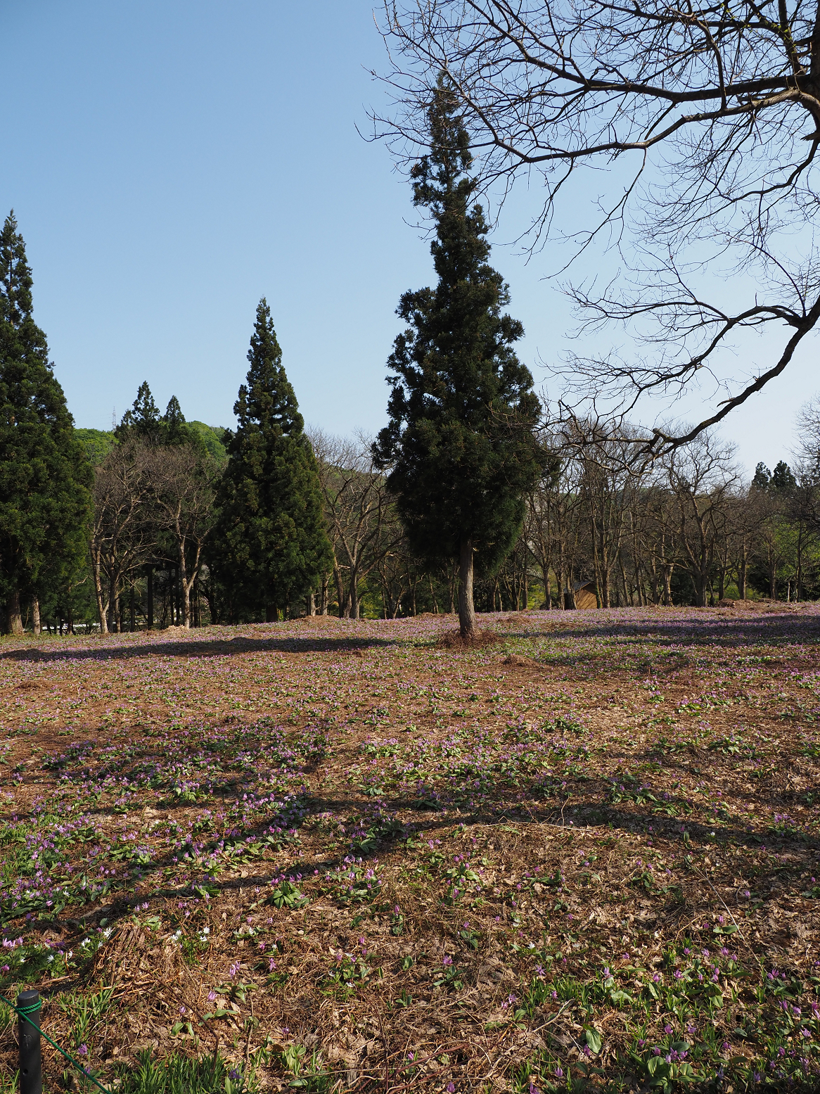 P5050384.jpg