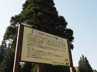 P5050432_thumb.png