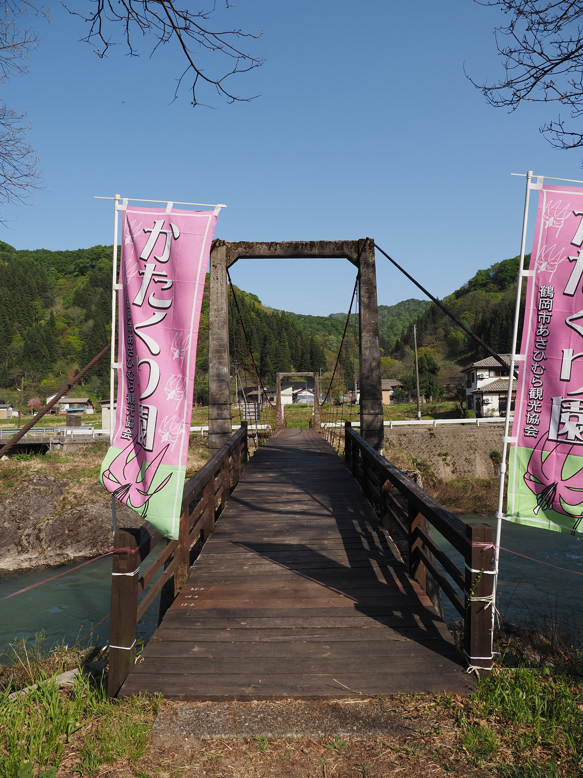 P5050442.jpg