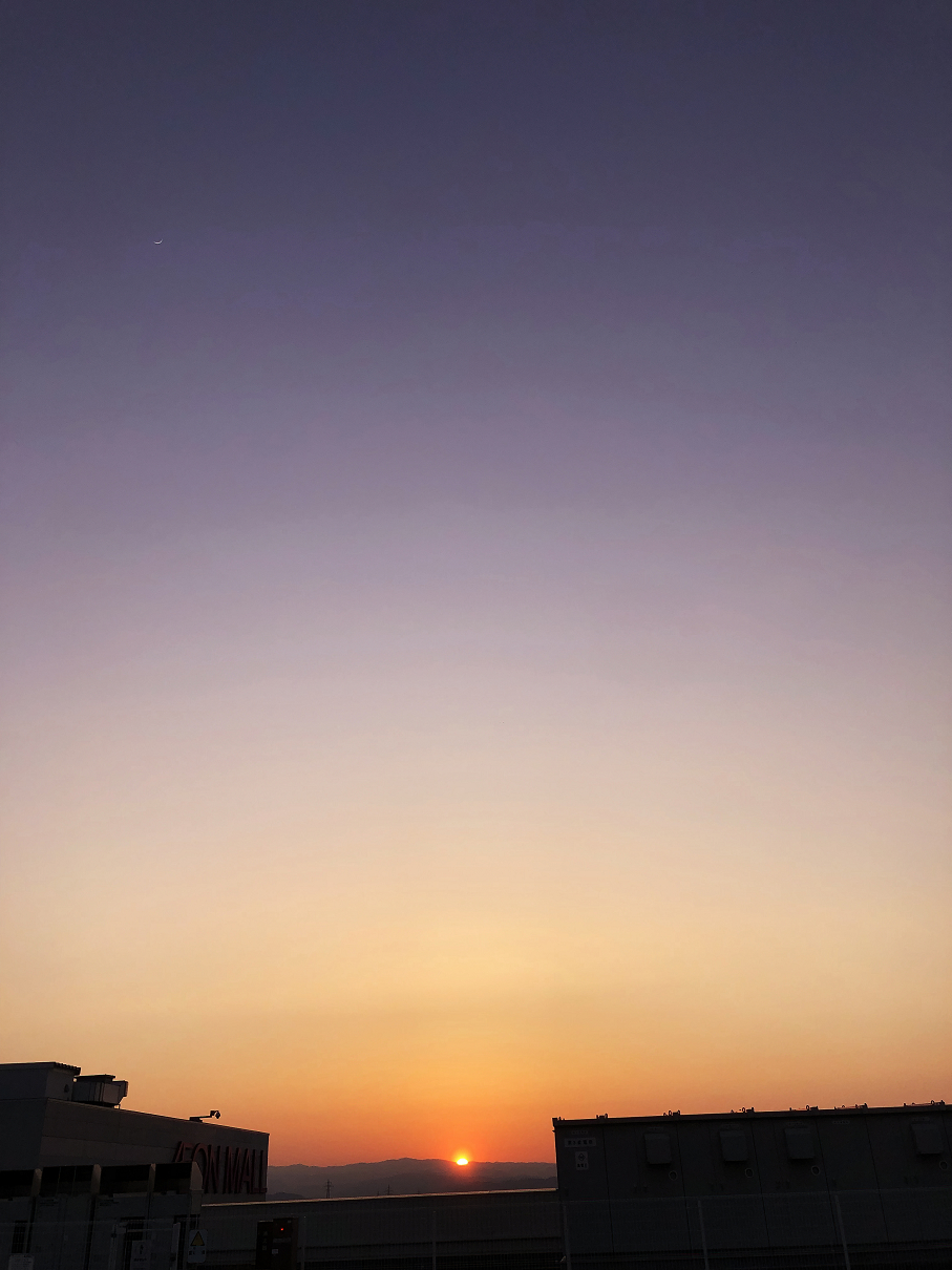 P5060472-16.jpg