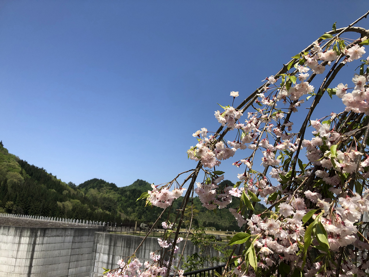 P5060472-49.jpg