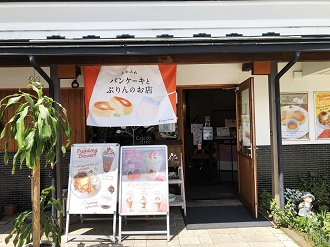 P5060472-64_thumb.png