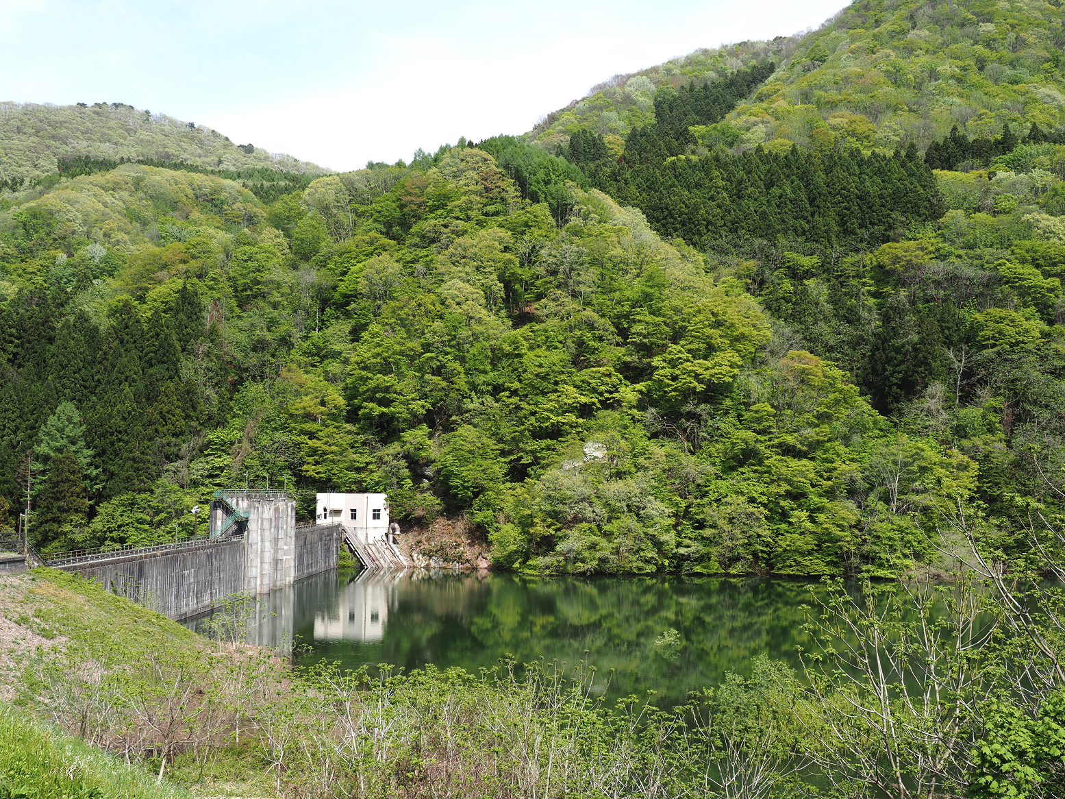 P5060484.jpg
