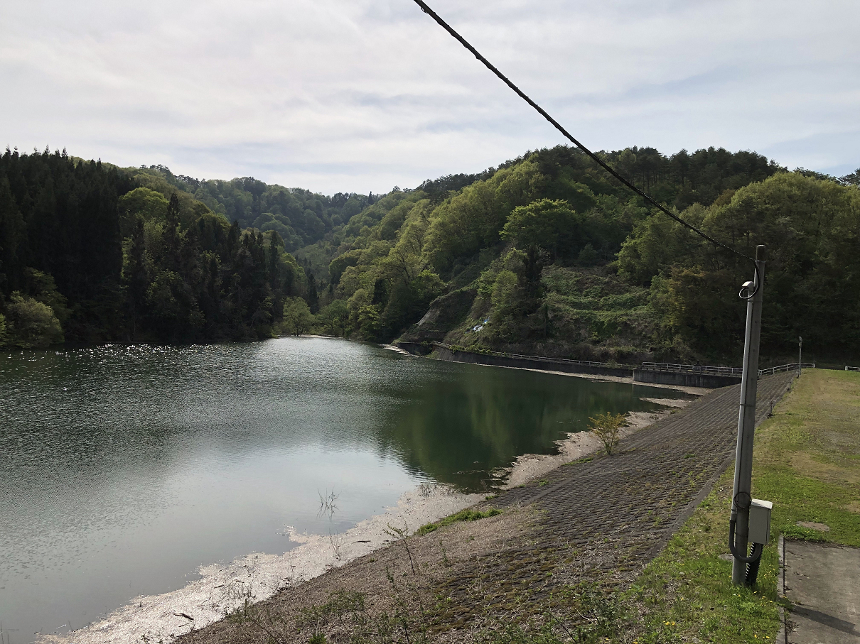 P5060497-01.jpg