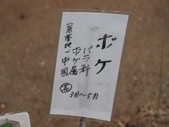 P5080530_thumb.png