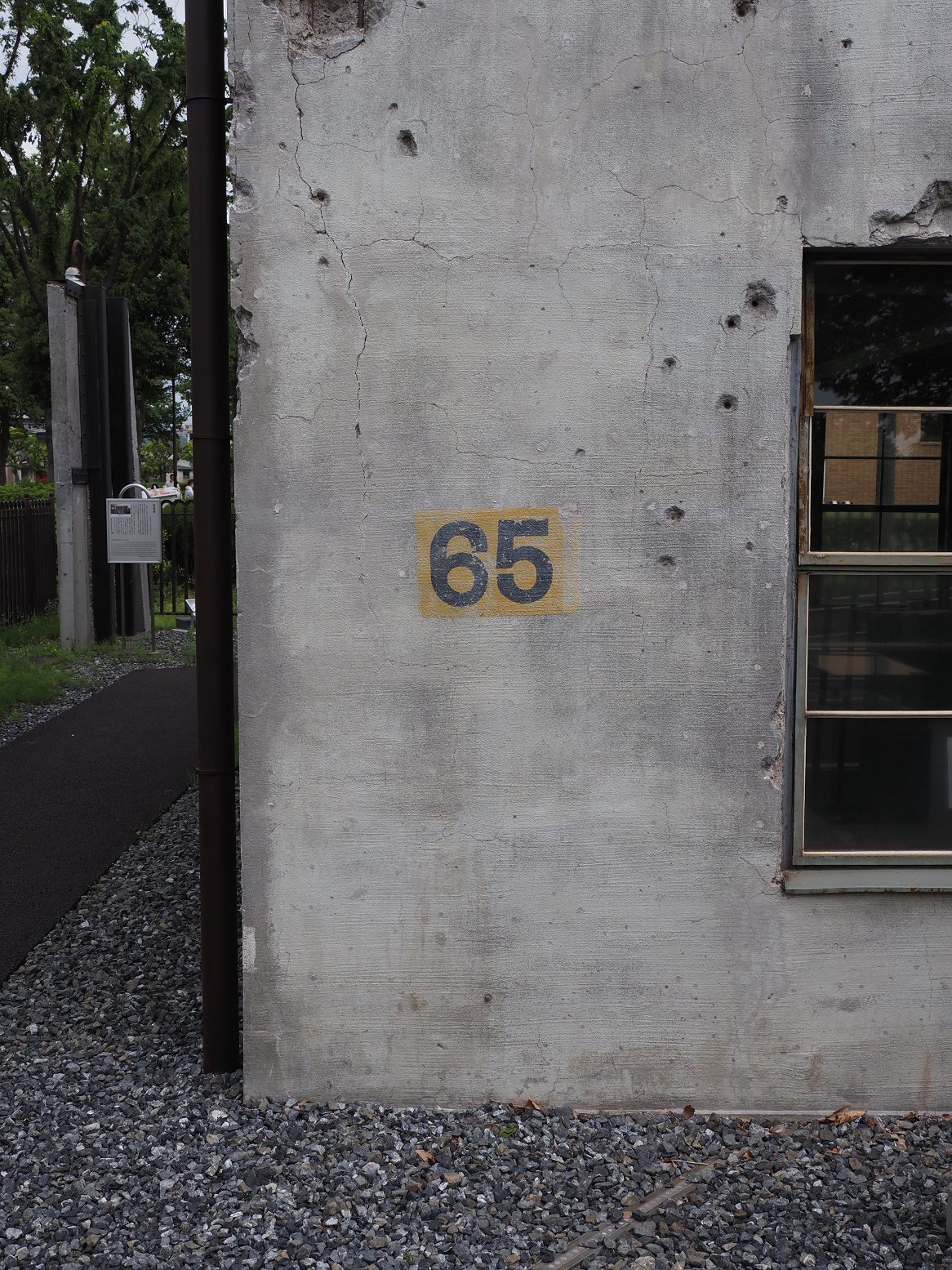 P5080556.jpg