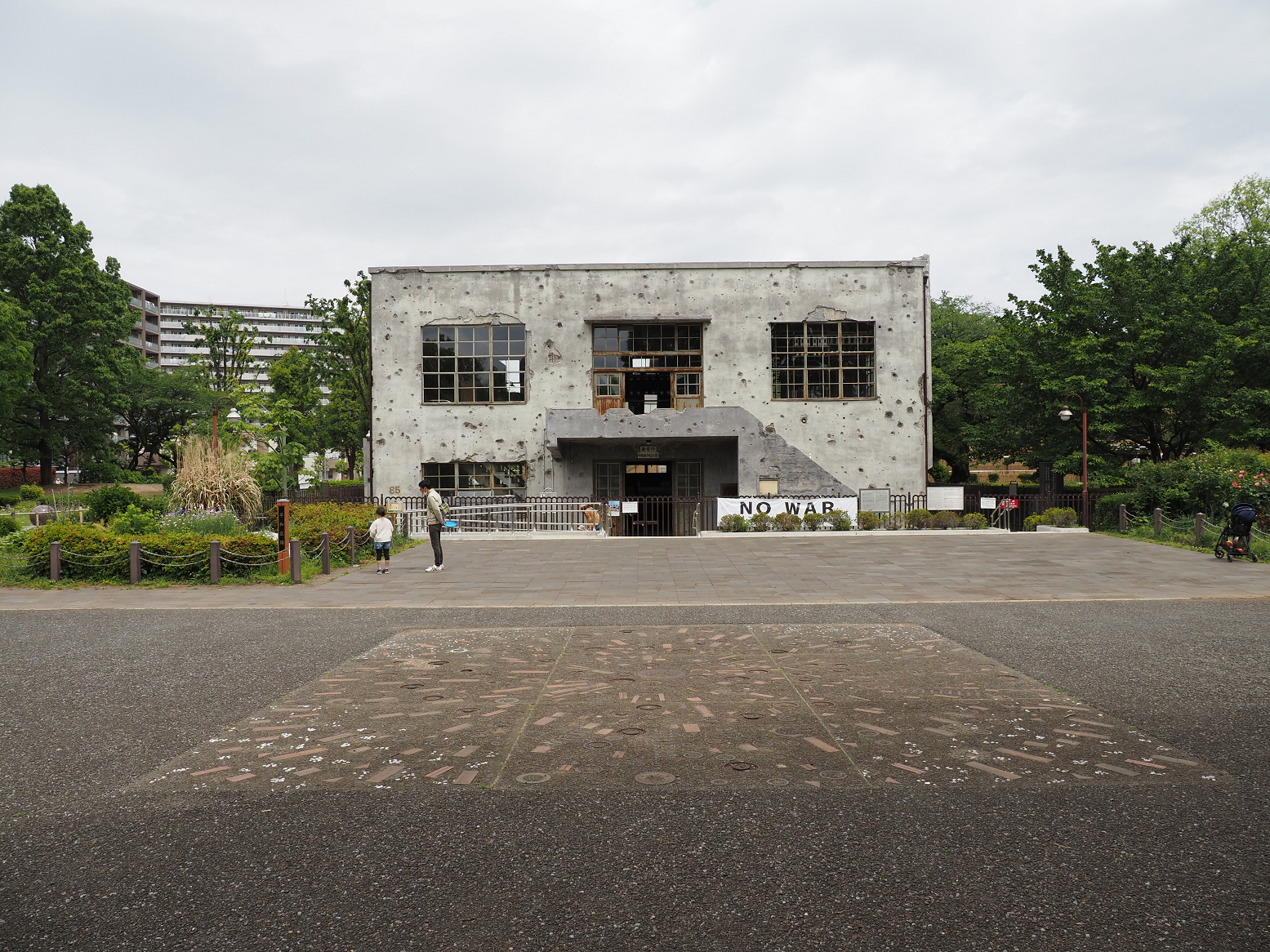 P5080581.jpg