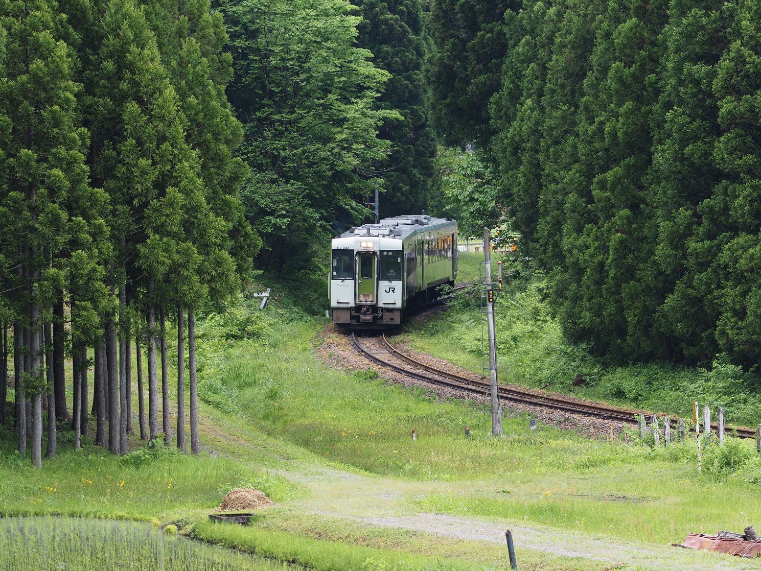 P5220755.jpg