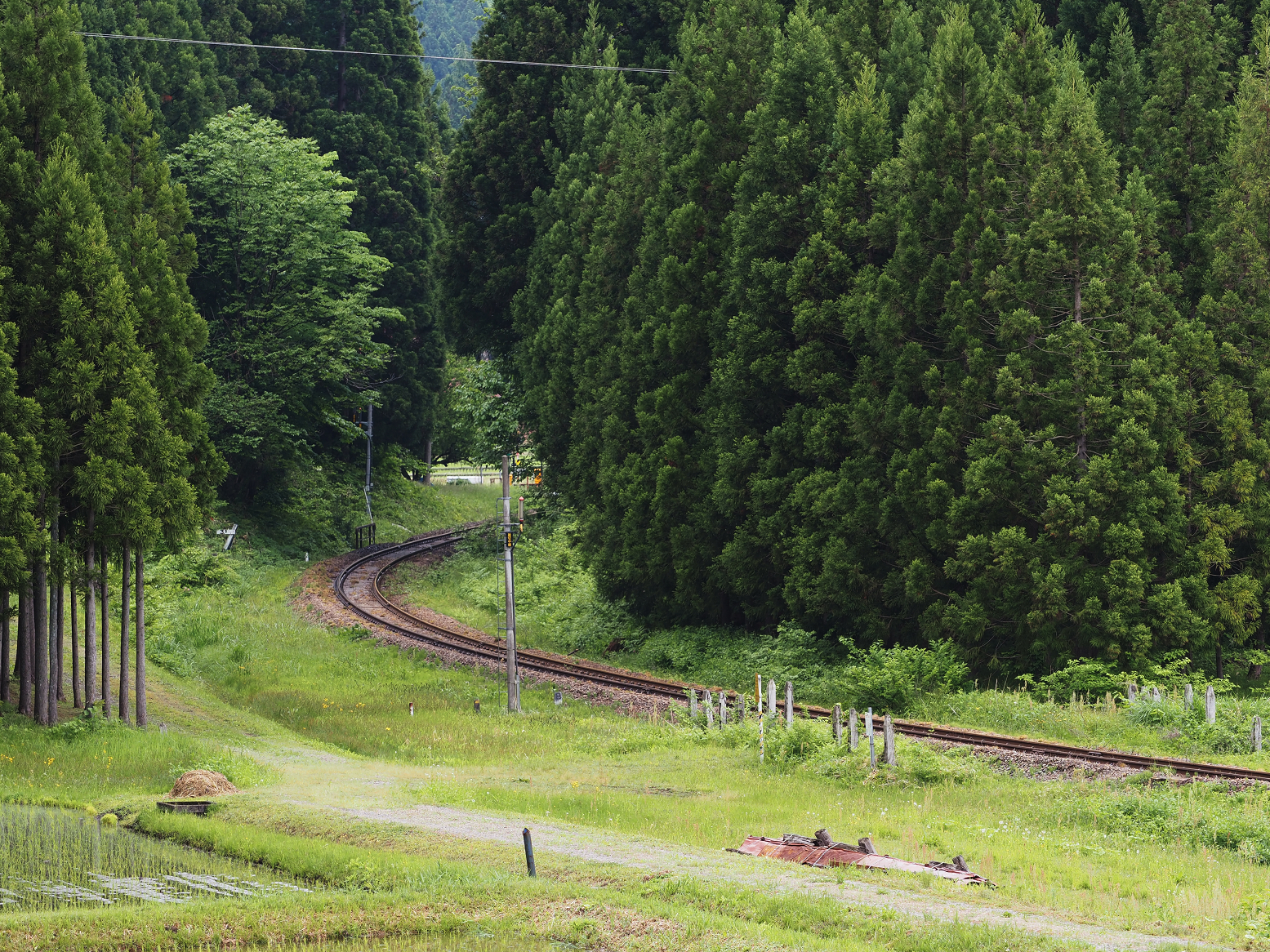 P5220843.jpg