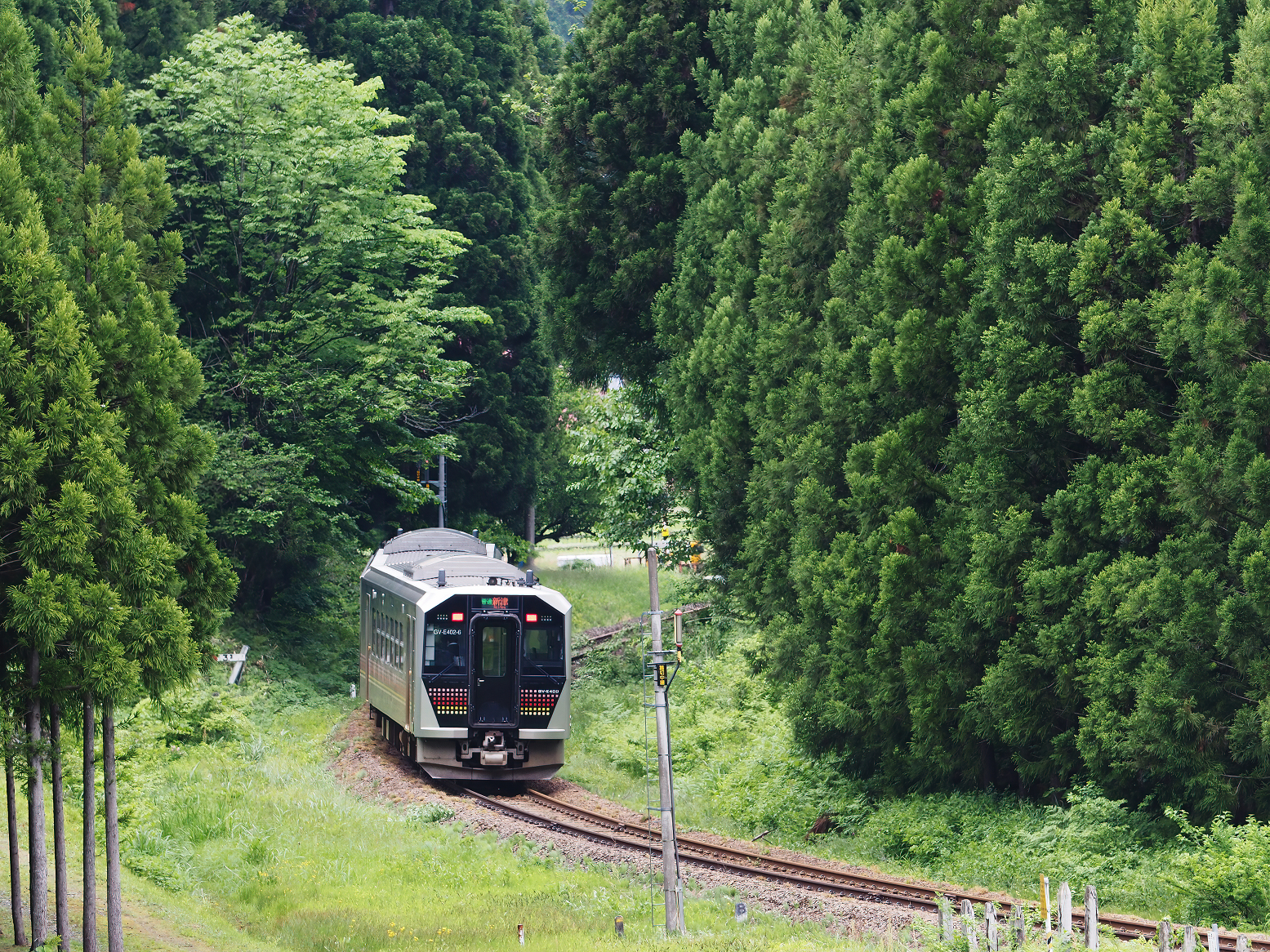 P5220849.jpg