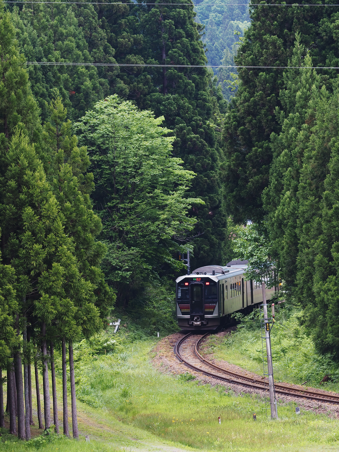P5220850.jpg