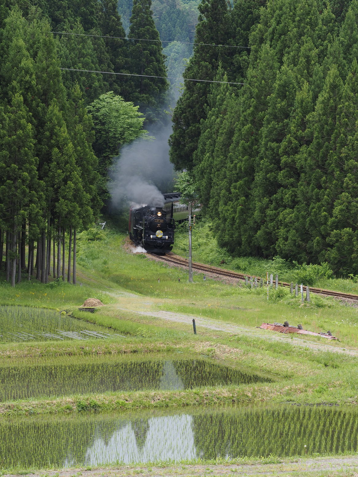 P5220871.jpg