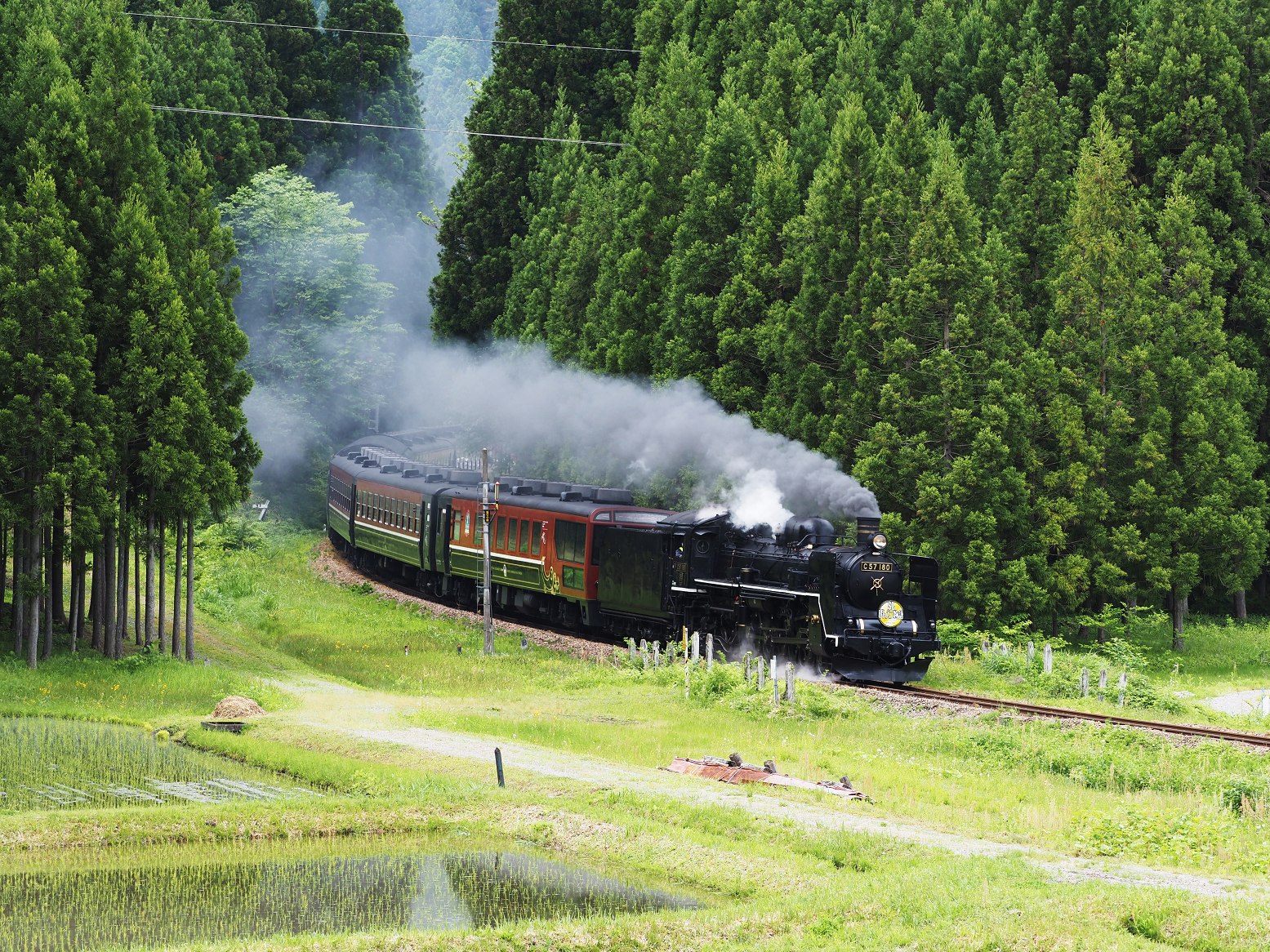 P5220881-01.jpg
