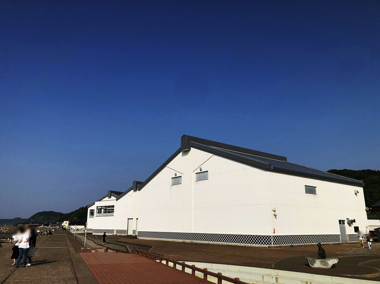 P5220916-05.jpg