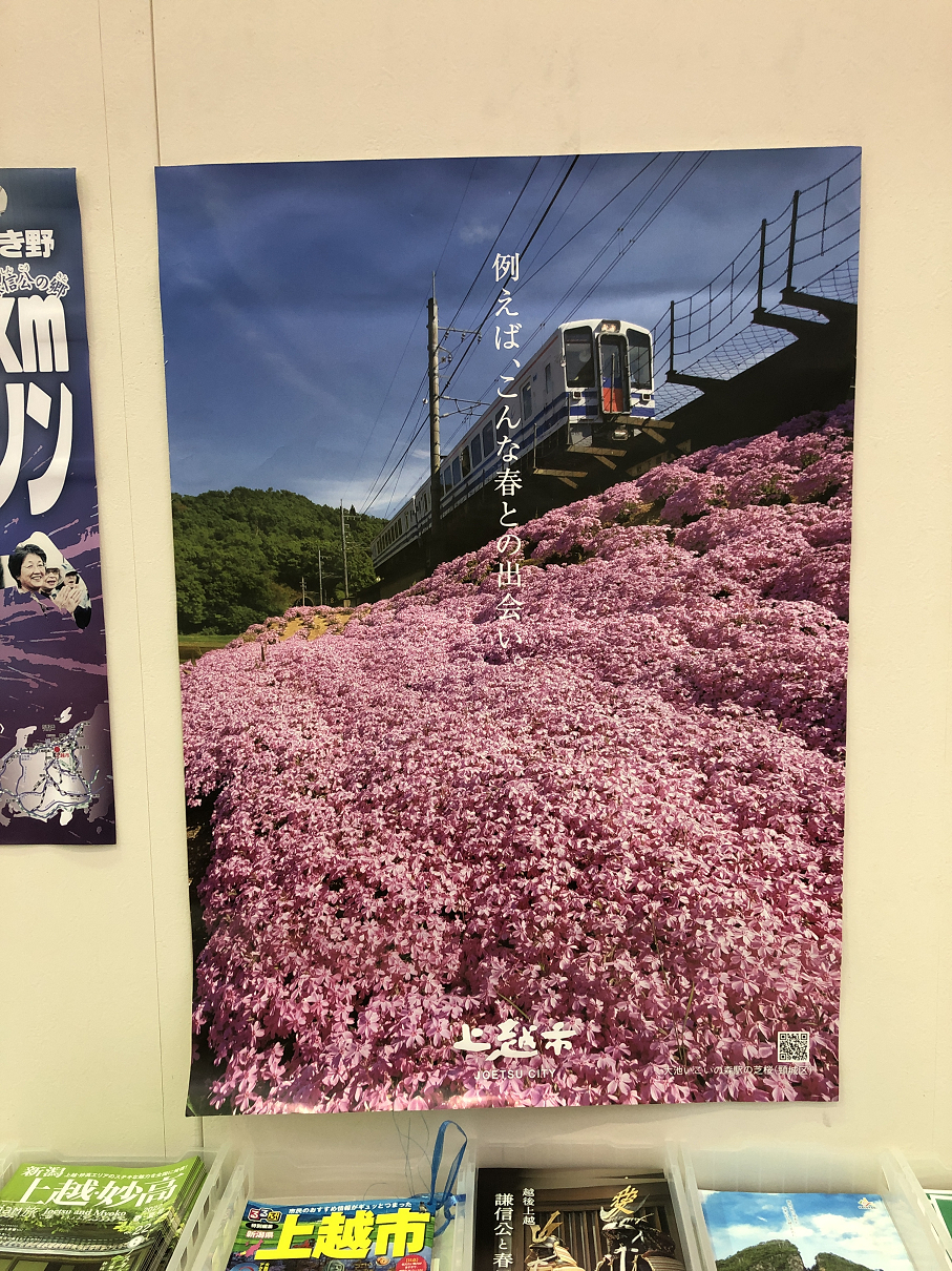 P5230937-12.jpg
