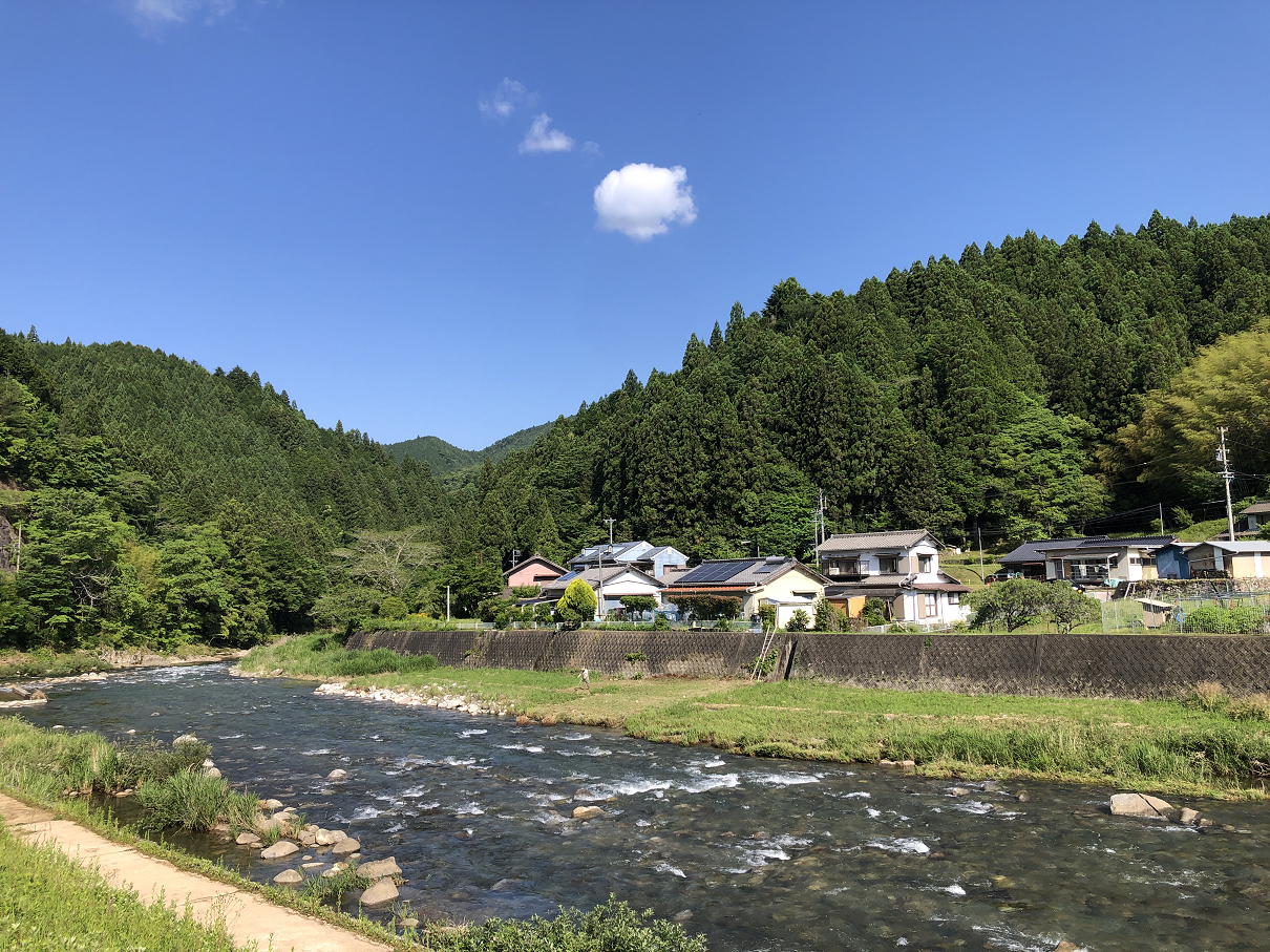 P5280008-10.jpg