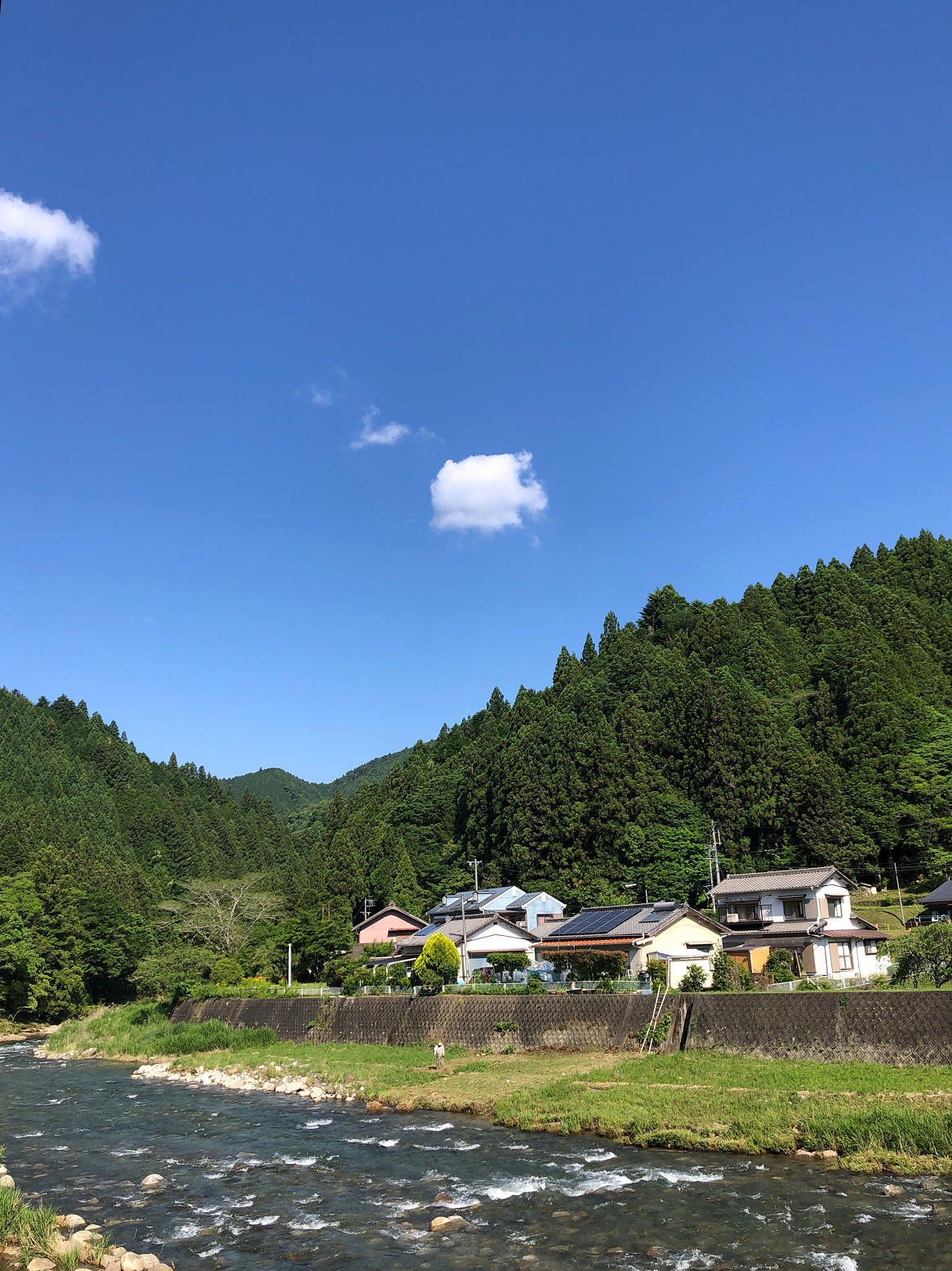 P5280008-11.jpg