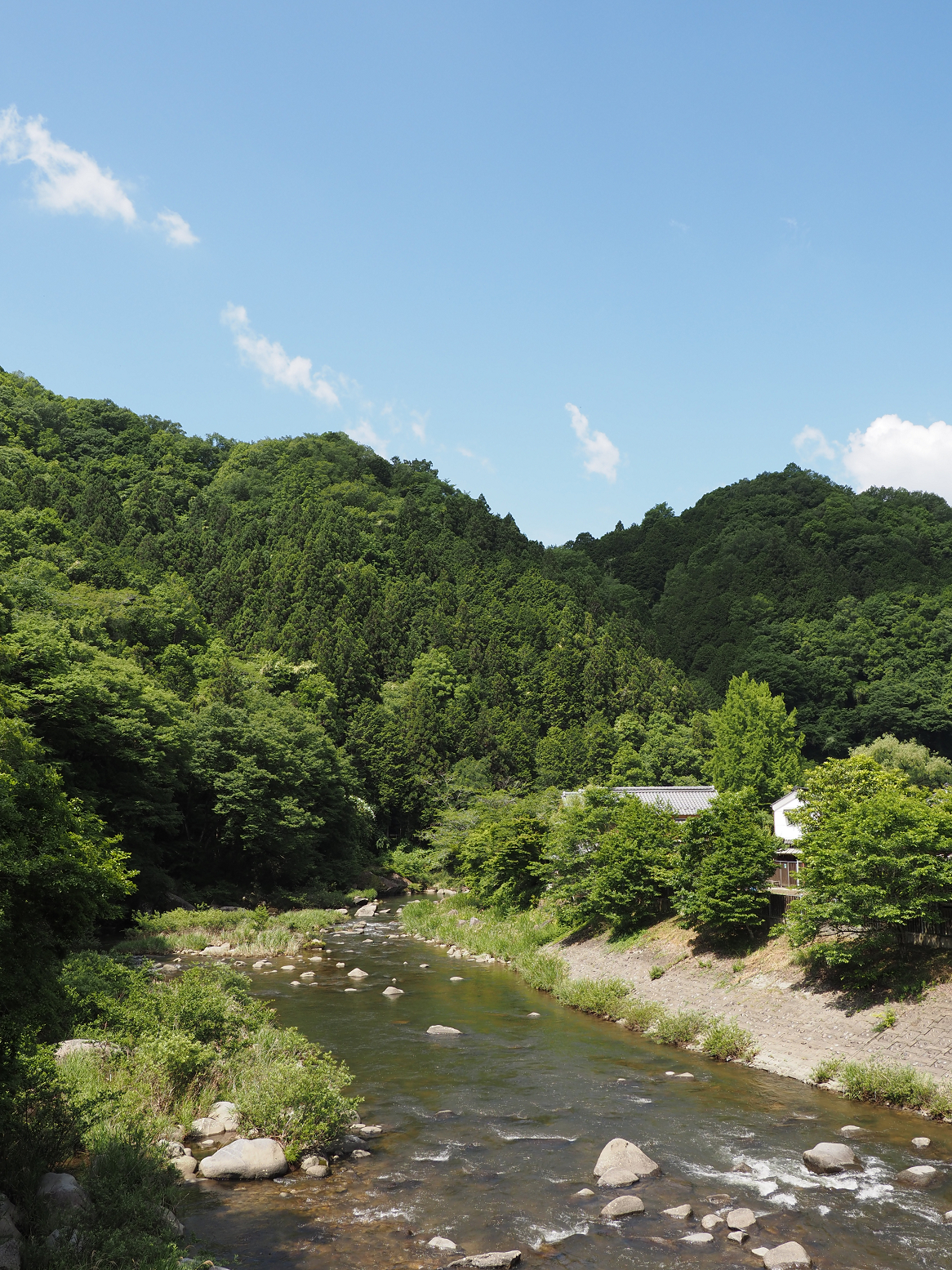 P5280010.jpg