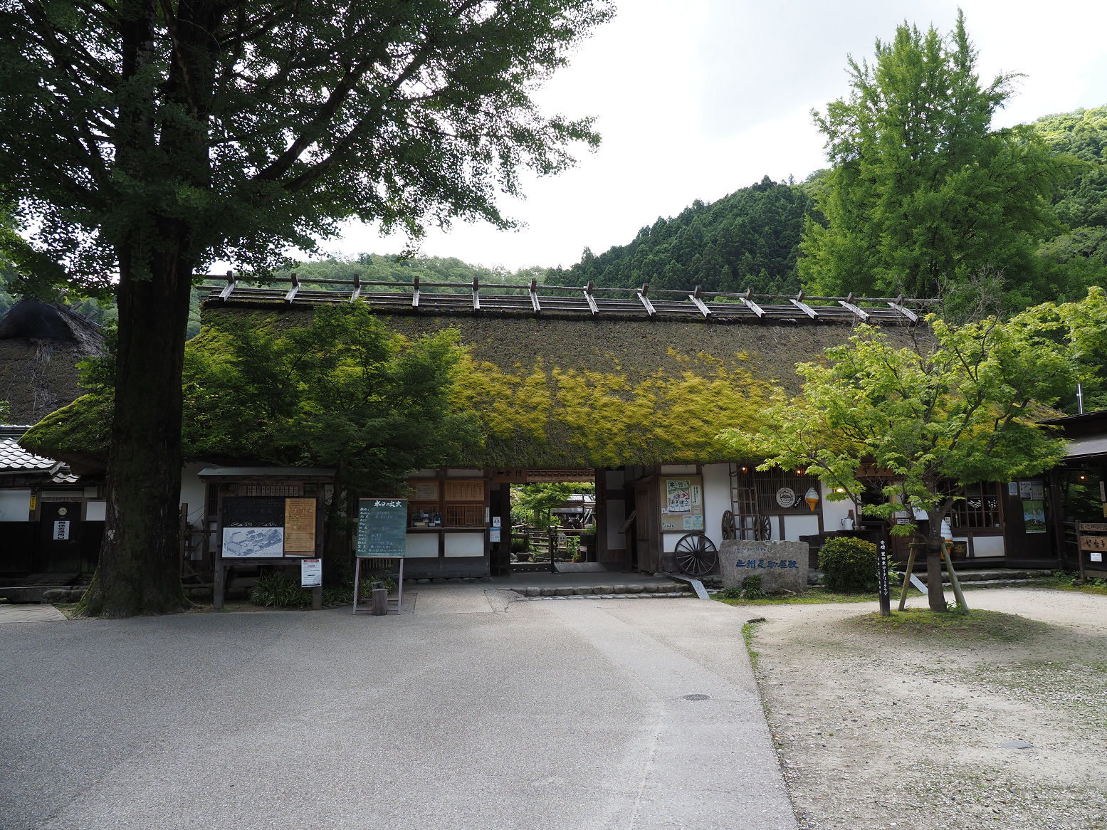 P5280016.jpg