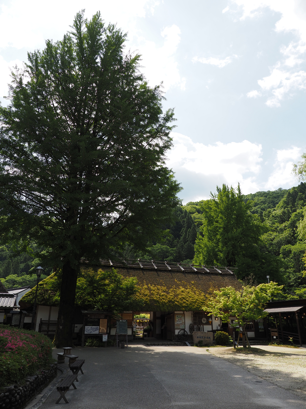 P5280021.jpg