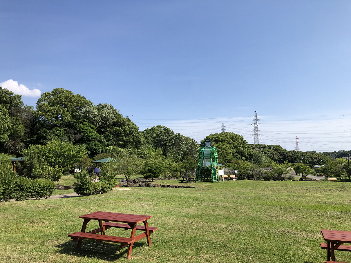 P5280032-24.jpg