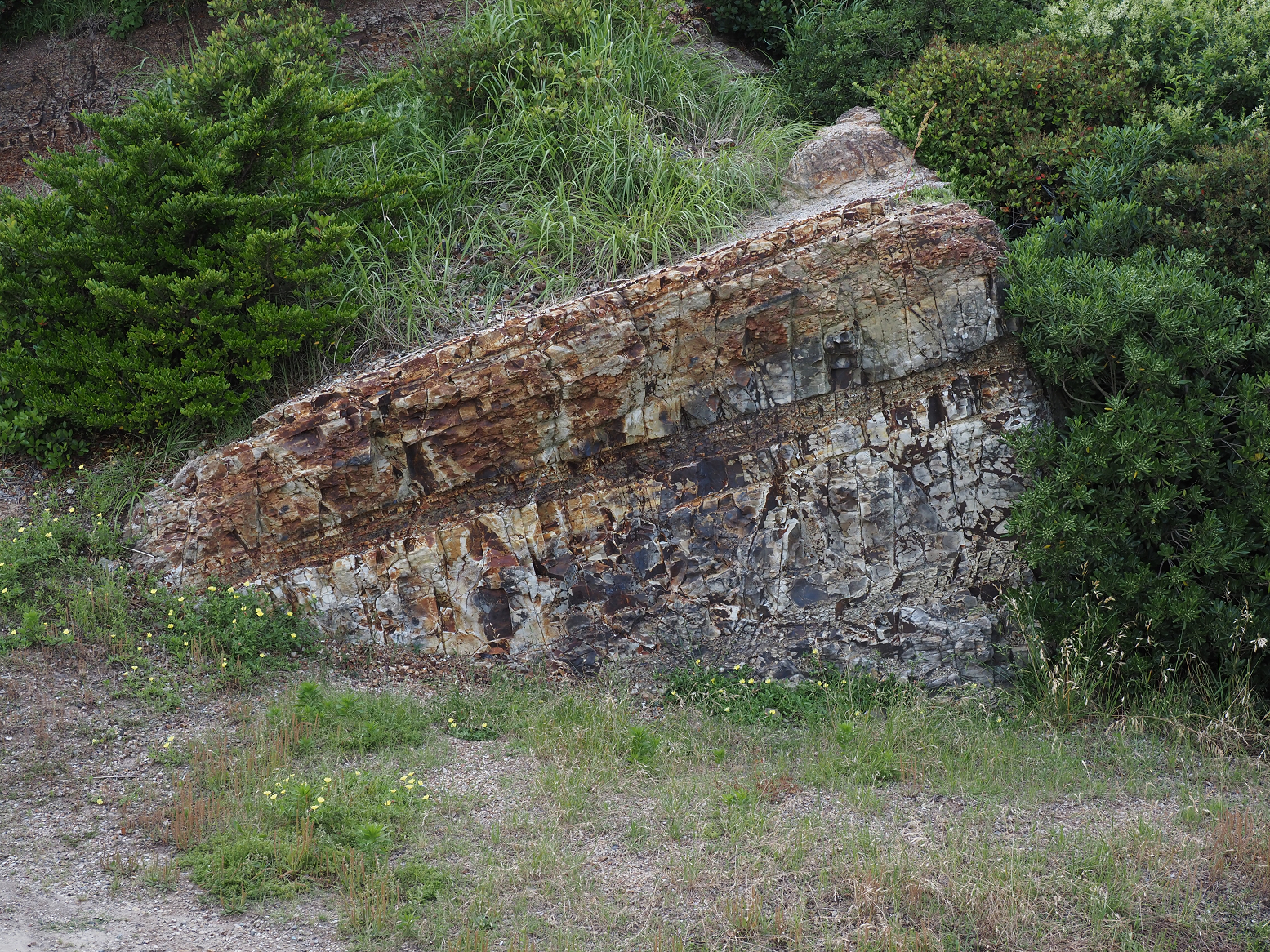 P5280048.jpg