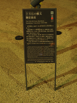 P5280106_thumb.png